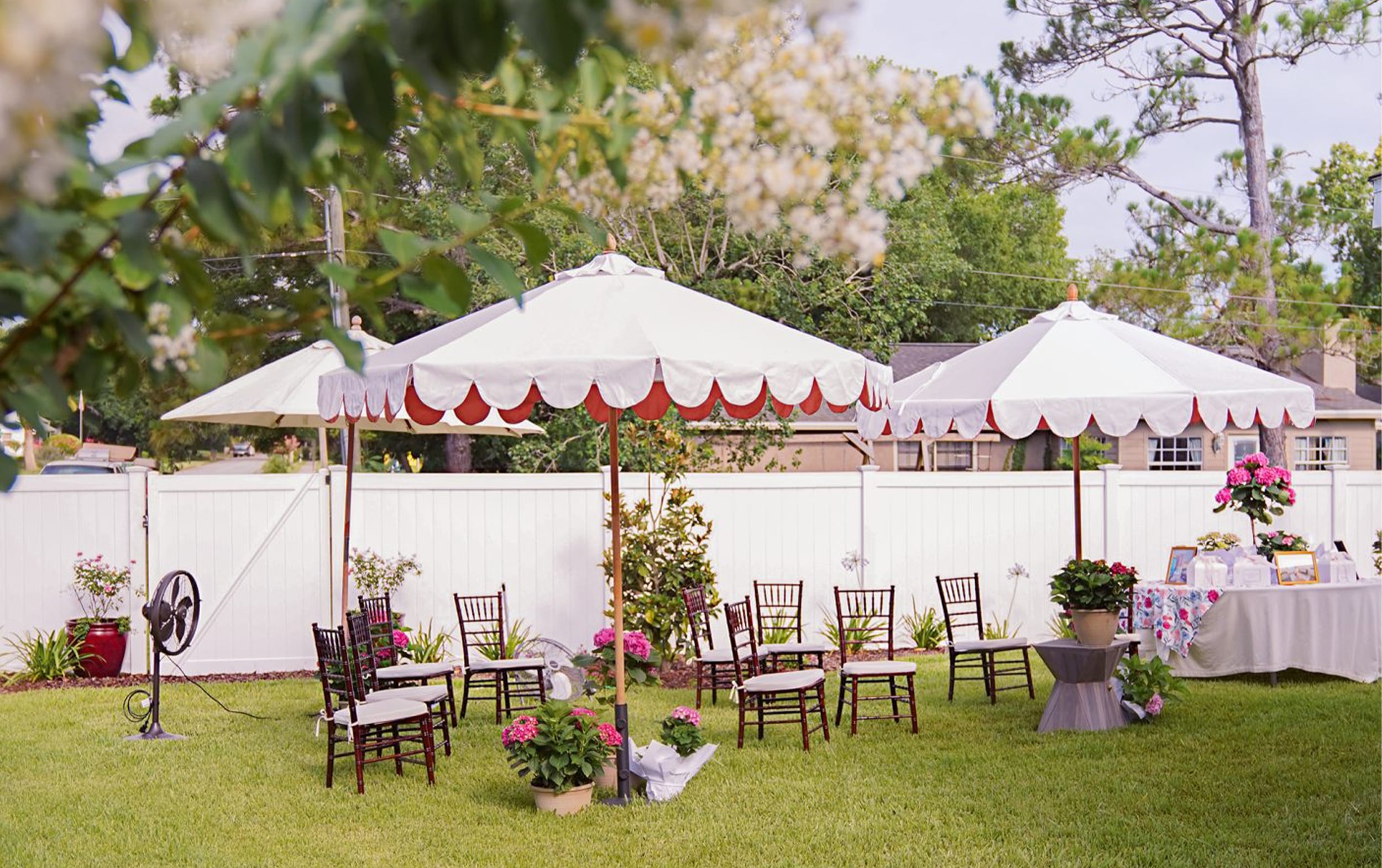 Blog Image 2